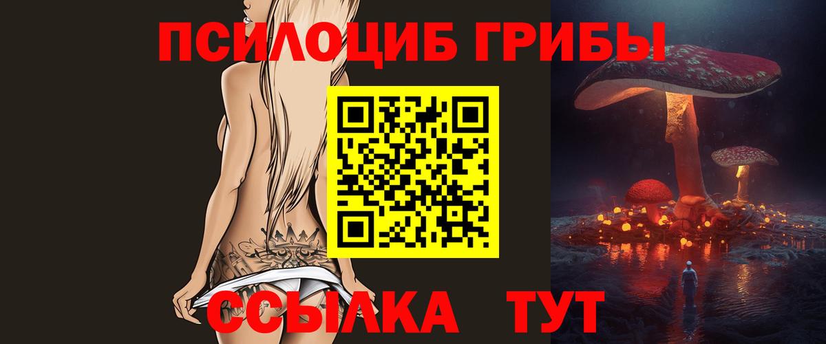 Псилоцибиновые грибы Psilocybine cubensis  Псилоцибиновые грибы мицелий  Фурманов  Вход с VPN 