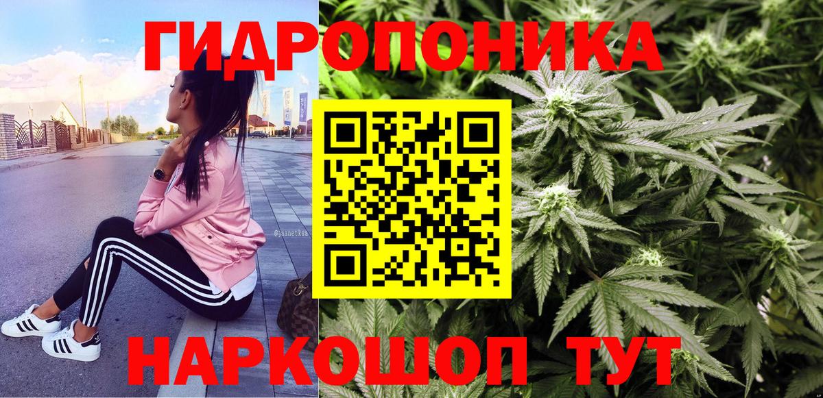 Каннабис планчик Фурманов